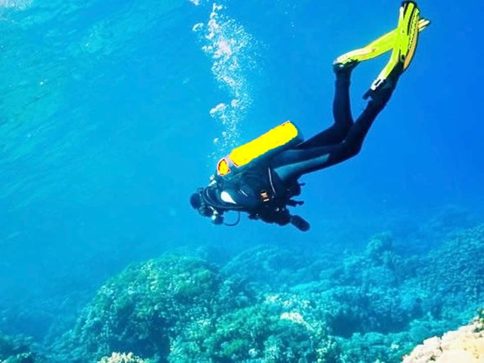 Progettazione Cavi Elettrici Speciali per Sea Diving